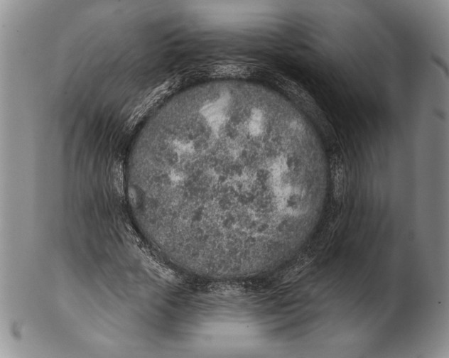 X0000102360729200808221715