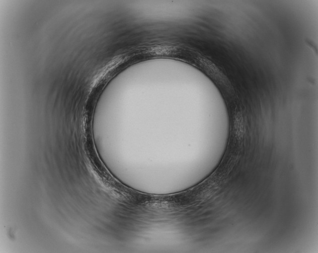 X0000102360730200808221715