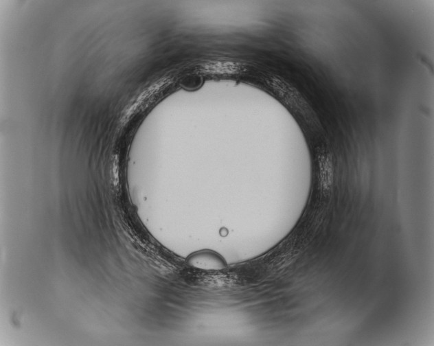 X0000102360731200808221715