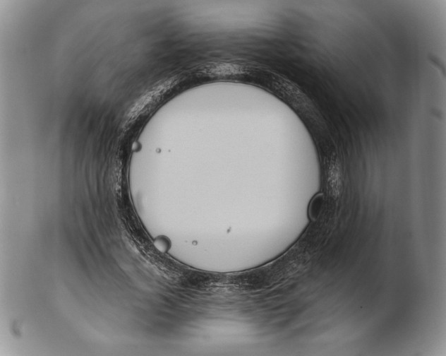 X0000102360732200808221715