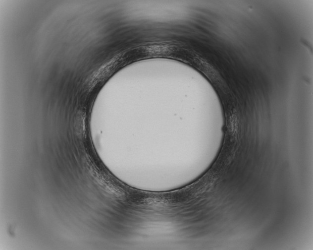 X0000102360733200808221715