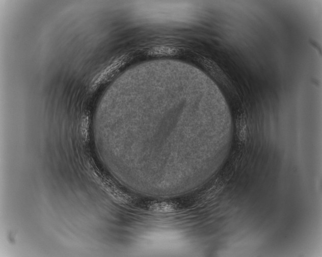 X0000102360735200808221715