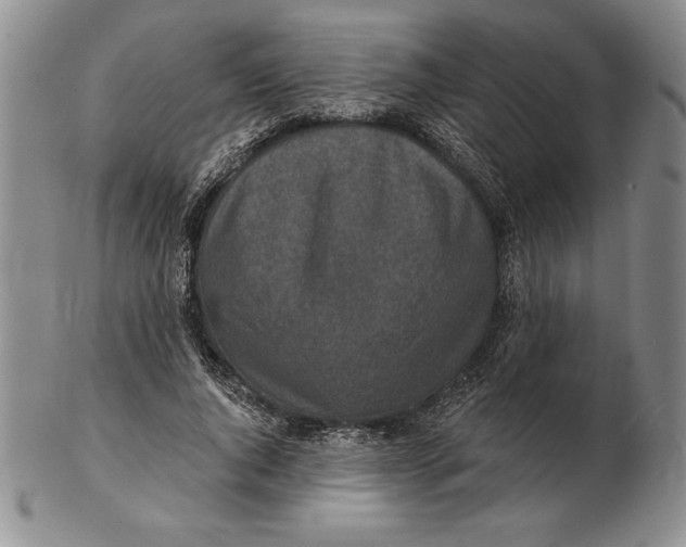 X0000102360736200808221715