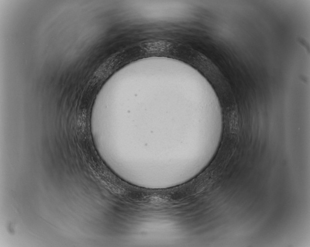 X0000102360737200808221715