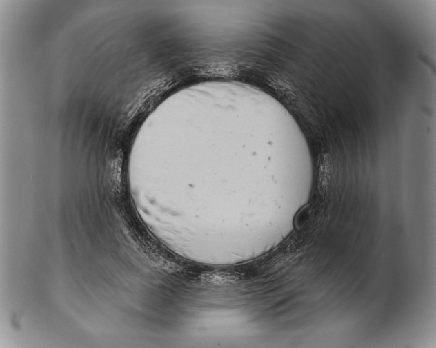 X0000102360739200808221715