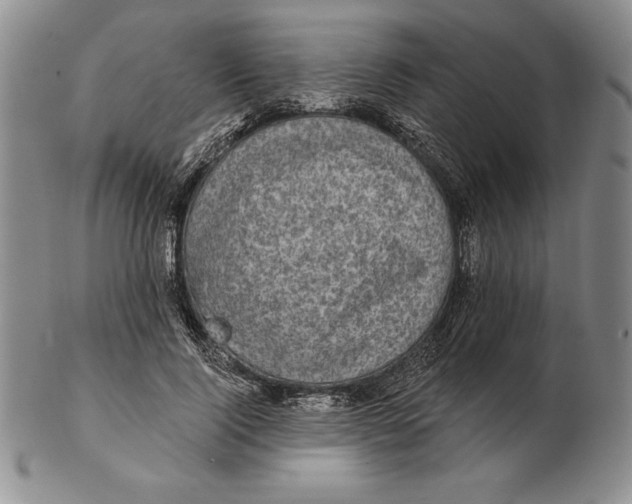 X0000102360740200808221715