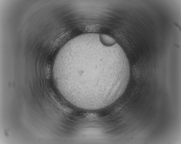 X0000102360741200808221715