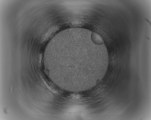 X0000102360742200808221715