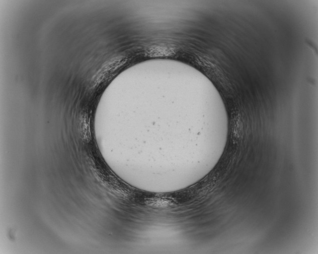 X0000102360743200808221715