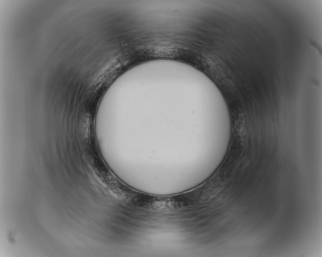 X0000102360744200808221715