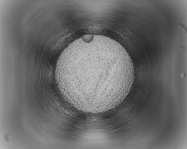 X0000102360745200808221715