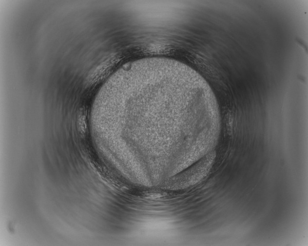 X0000102360746200808221715