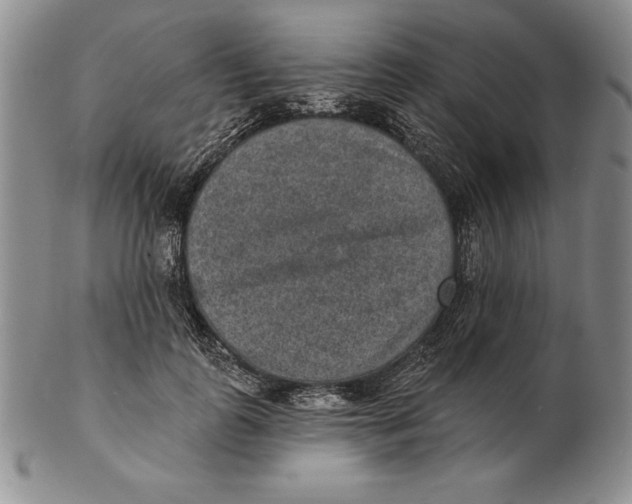 X0000102360747200808221715