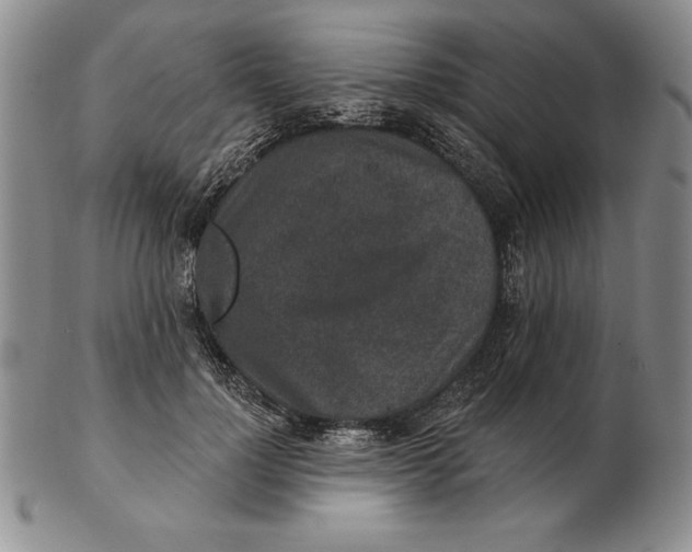 X0000102360748200808221715