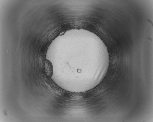 X0000102360749200808221715