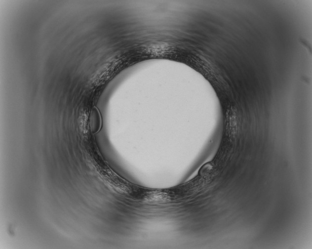 X0000102360750200808221715