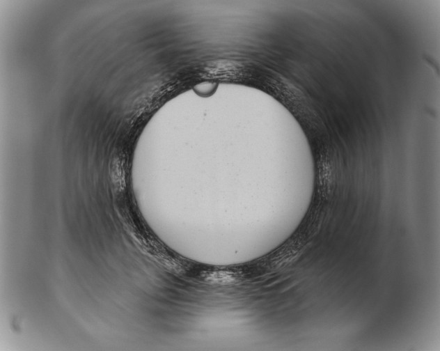 X0000102360751200808221715