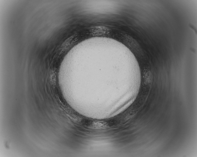 X0000102360753200808221715