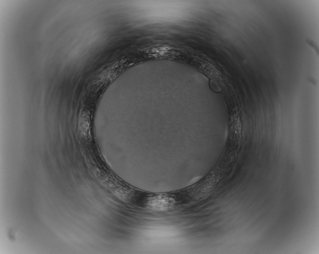 X0000102360754200808221715