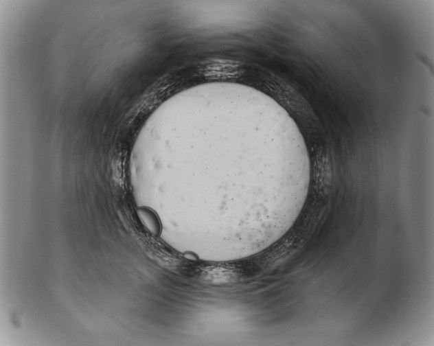 X0000102360755200808221715