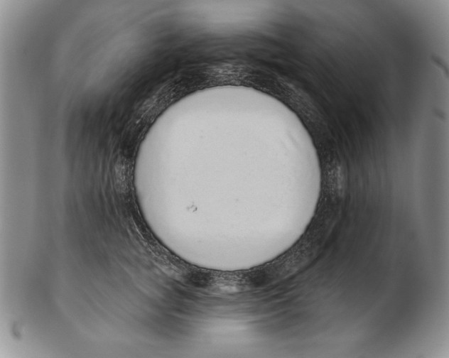 X0000102360757200808221715