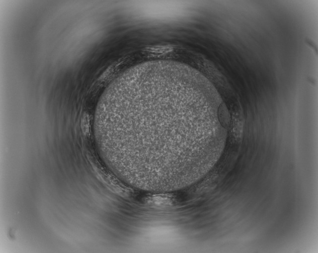 X0000102360758200808221715