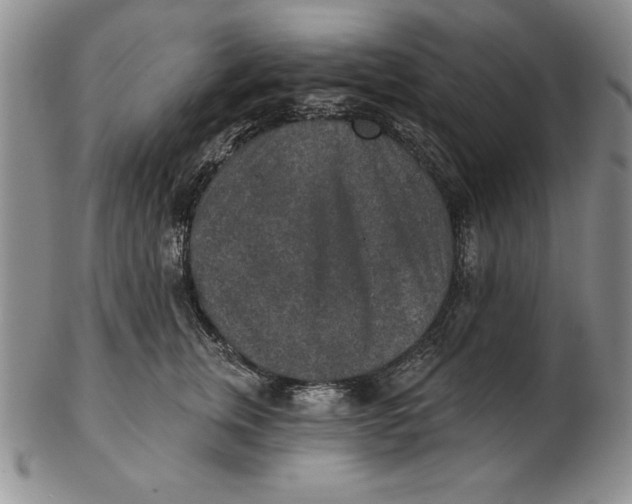 X0000102360759200808221715