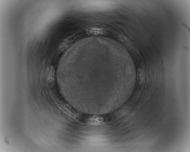 X0000102360760200808221715