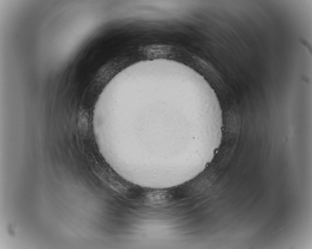 X0000102360761200808221715