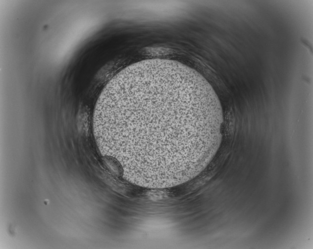 X0000102360762200808221715