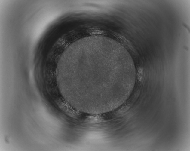 X0000102360763200808221715