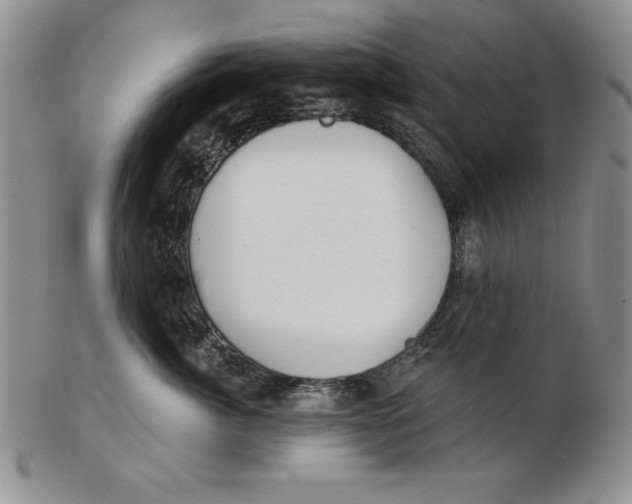 X0000102360764200808221715