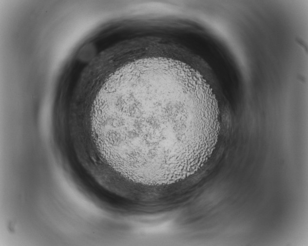 X0000102360765200808221715