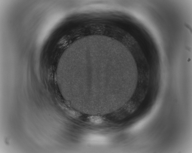 X0000102360766200808221715