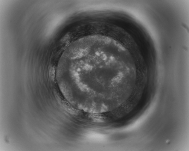 X0000102360767200808221716