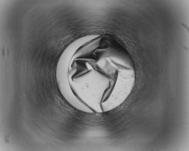 X0000102360768200808221716