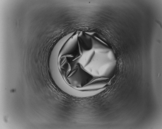 X0000102360769200808221715