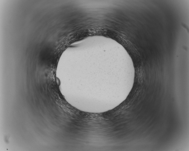 X0000102360770200808221715