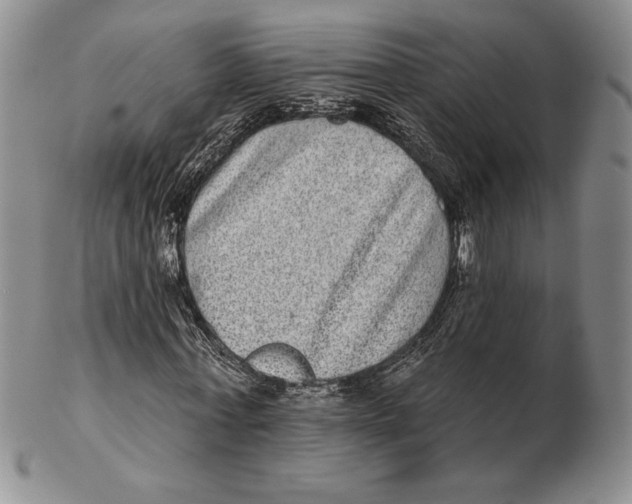 X0000102360771200808221715