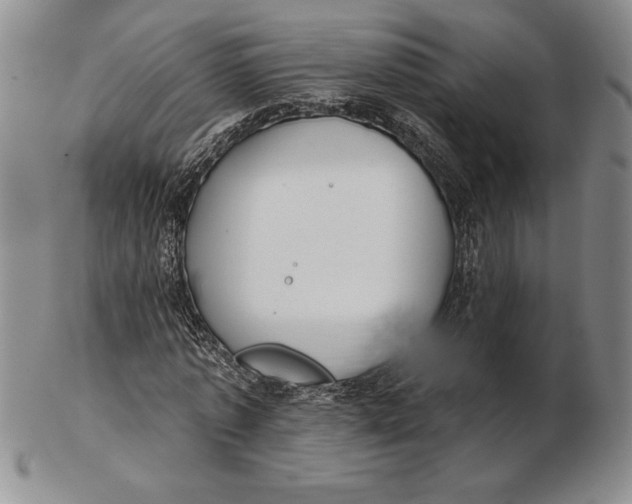 X0000102360773200808221715