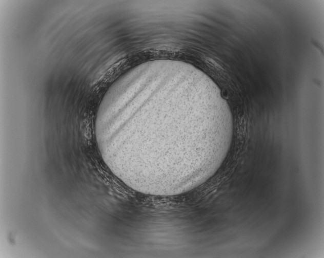 X0000102360774200808221715