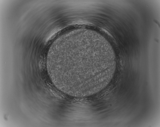 X0000102360775200808221715