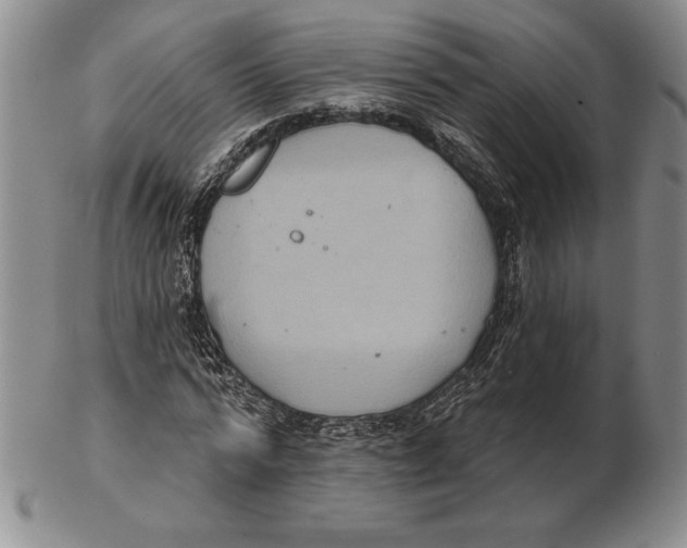 X0000102360776200808221715