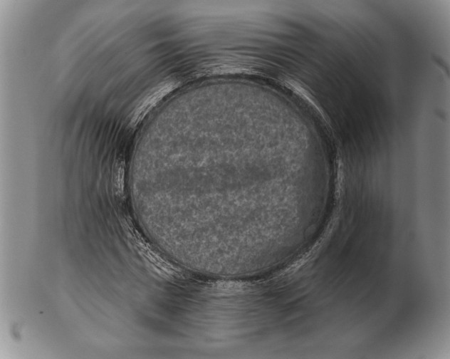 X0000102360777200808221715