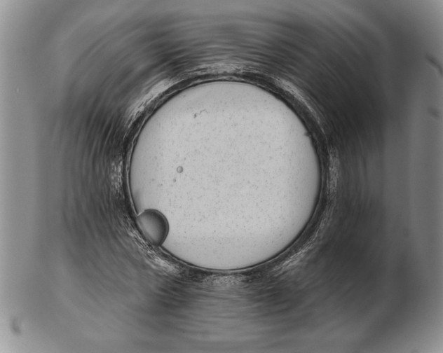 X0000102360778200808221715