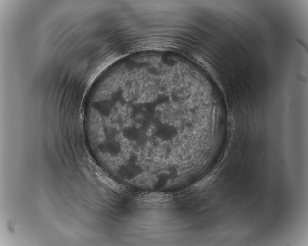 X0000102360779200808221715