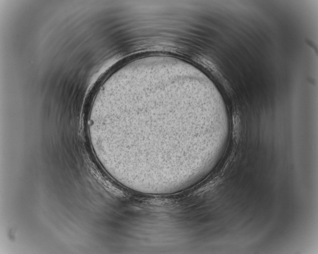 X0000102360780200808221715