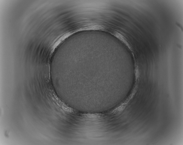 X0000102360781200808221715