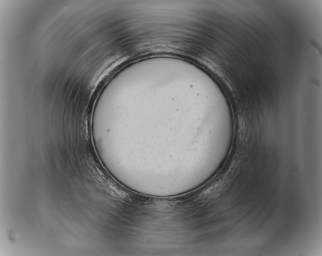 X0000102360782200808221715