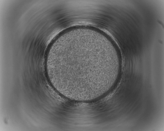 X0000102360783200808221715